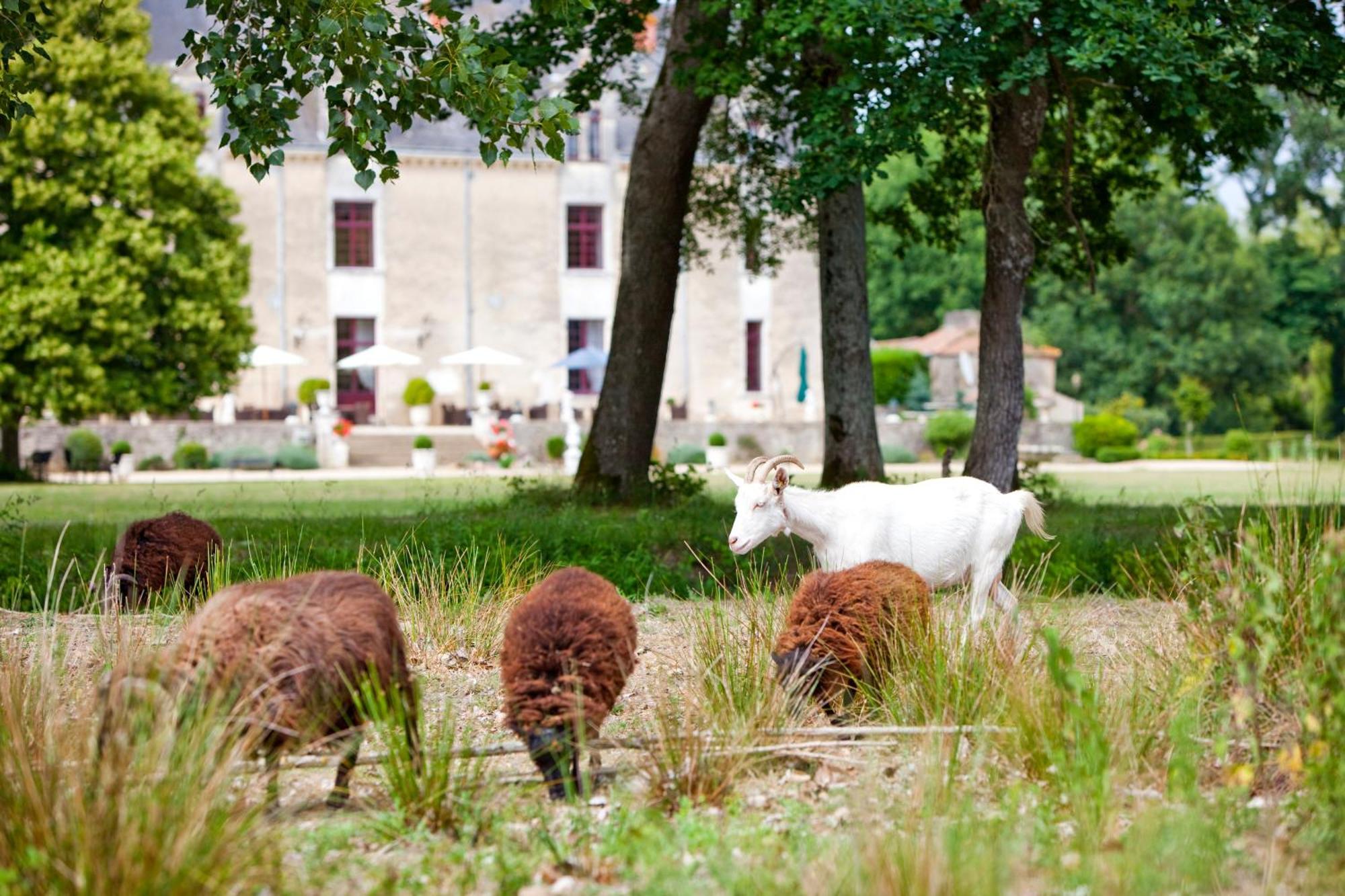 Chateau De La Verie Challans Exterior photo