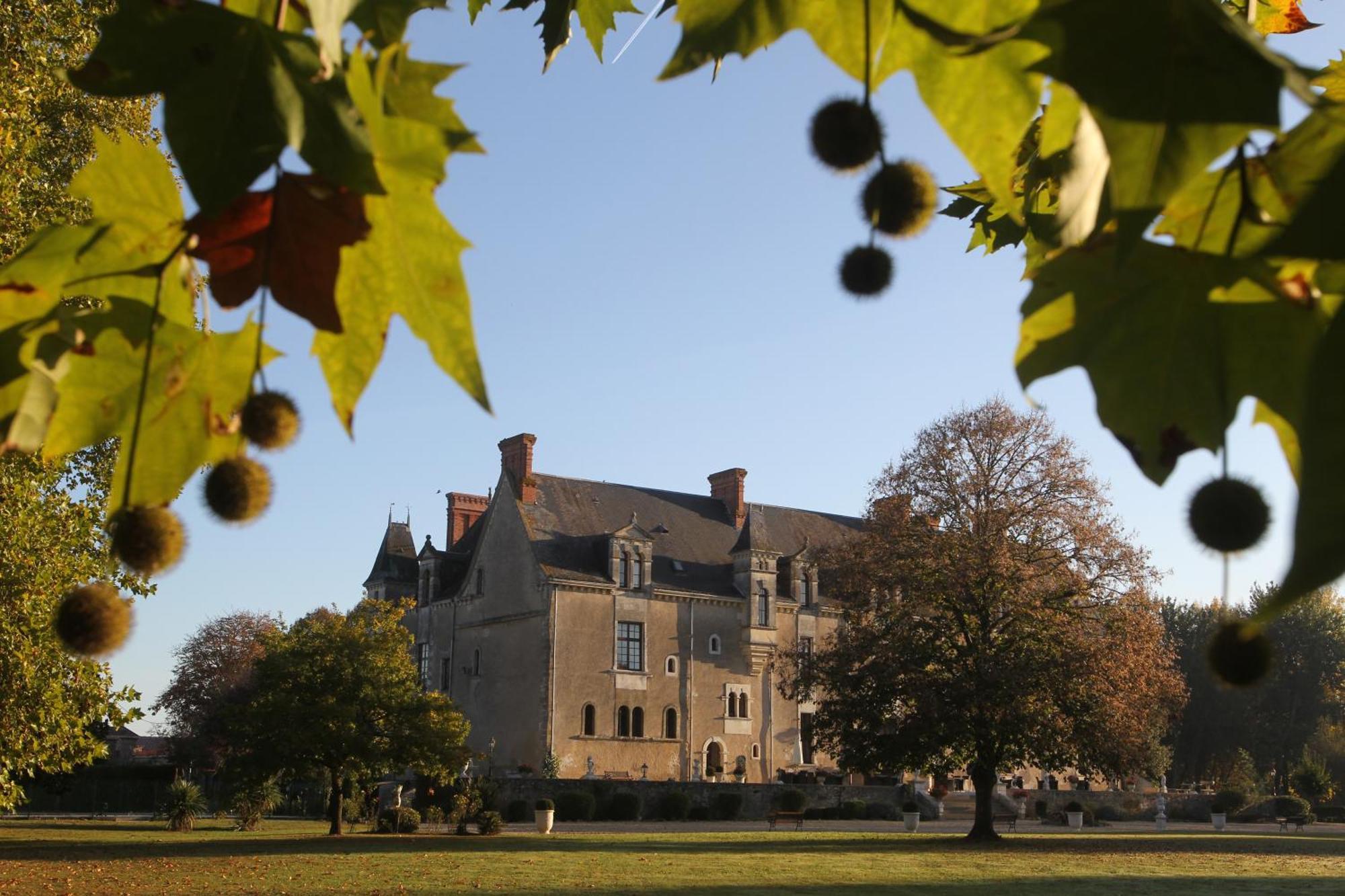 Chateau De La Verie Challans Exterior photo